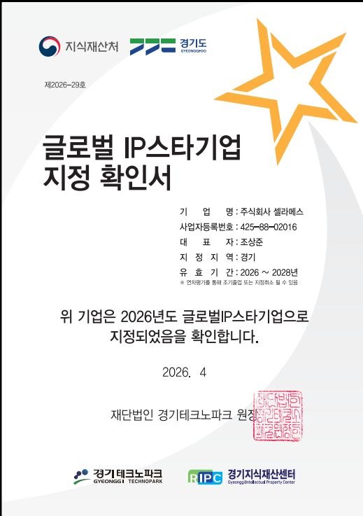 IP스타인증서.jpg